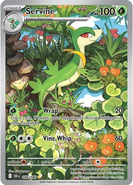 Servine - 088/086 - Illustration Rare (Español Foil NM)