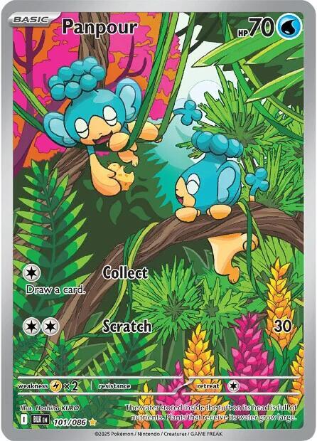 Panpour - 101/086 - Illustration Rare (Español Latino Foil NM)