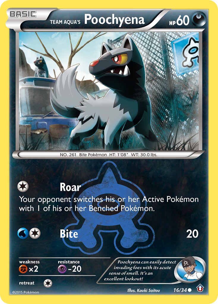 Team Aqua's Poochyena - 16/34 - Common (Inglés NM)