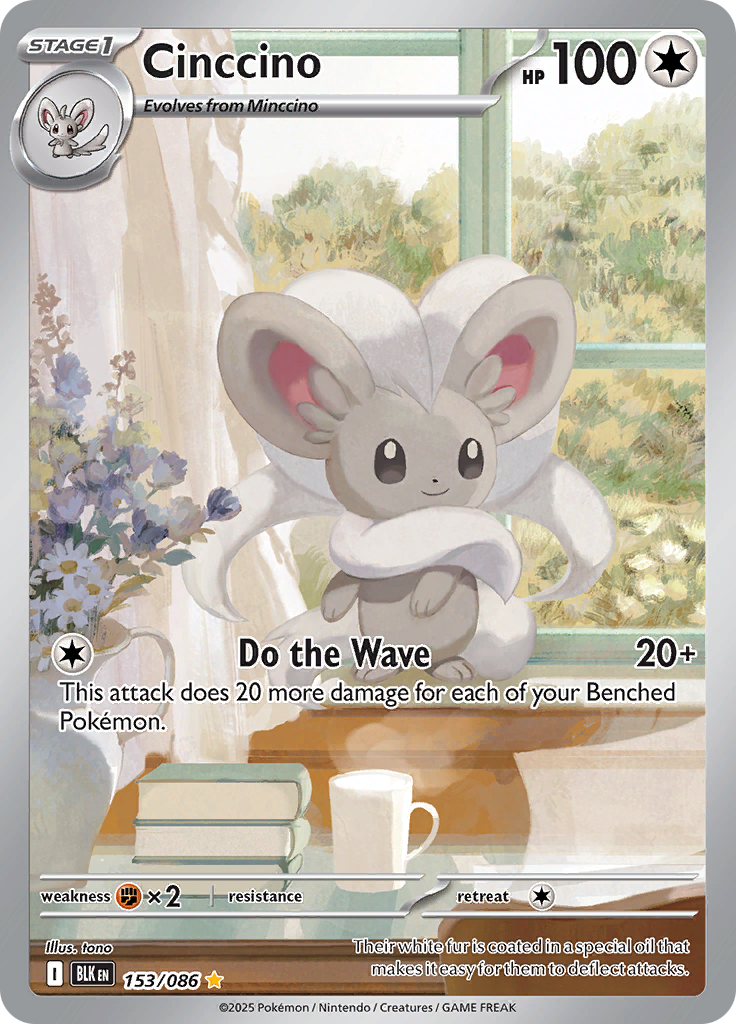 Cinccino - 153/086 - Illustration Rare