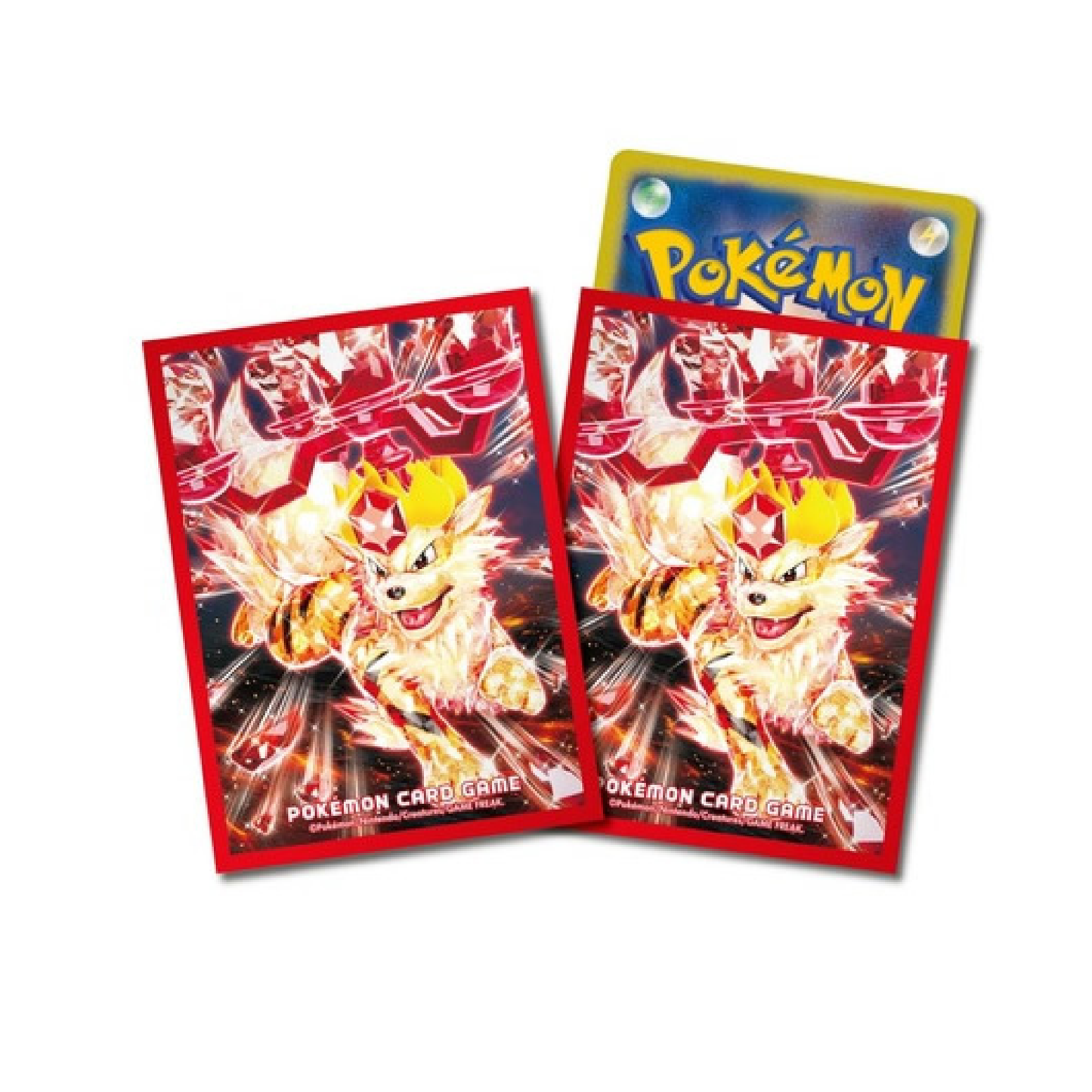 Protectores Holográfico Pokemon Center - Arcanine TeraCristal