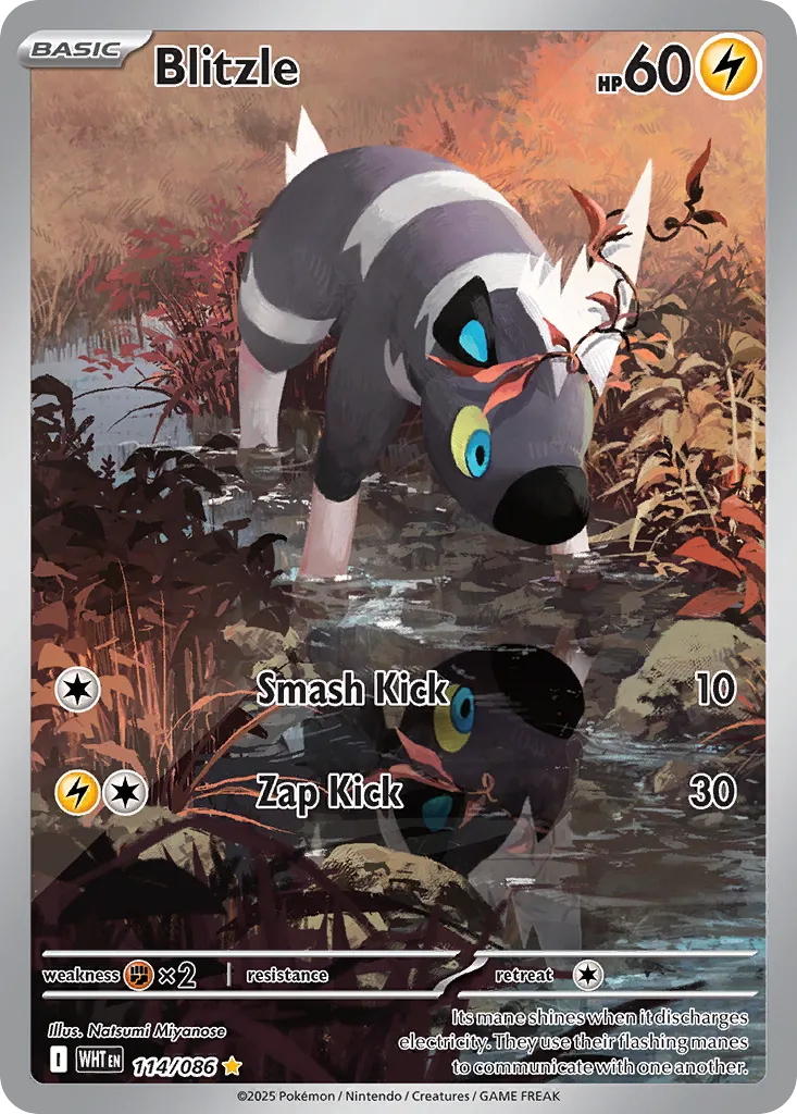 Blitzle - 114/086 - Illustration Rare (Inglés Foil NM)