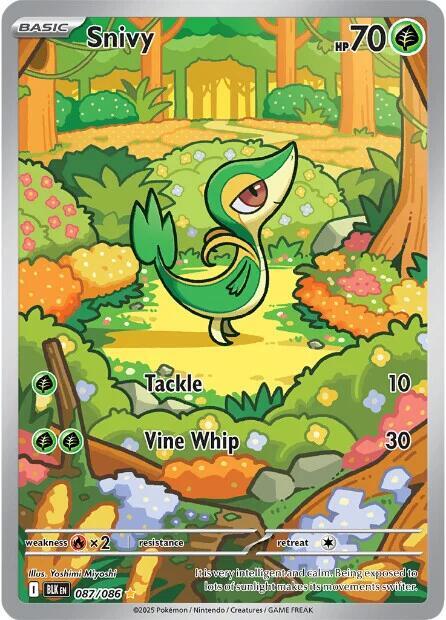 Snivy - 087/086 - Illustration Rare (Inglés Foil NM)