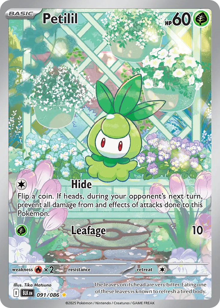 Petilil - 091/086 - Illustration Rare (Inglés Foil NM)