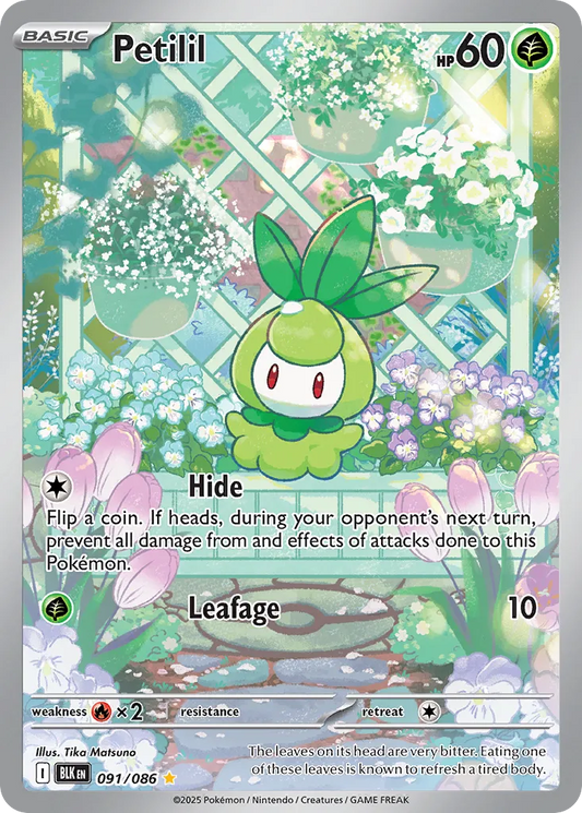 Petilil - 091/086 - Illustration Rare (Inglés Foil NM)