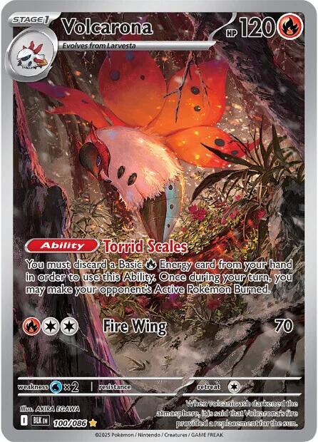 Volcarona - 100/086 - Illustration Rare (Español Latino Foil NM)