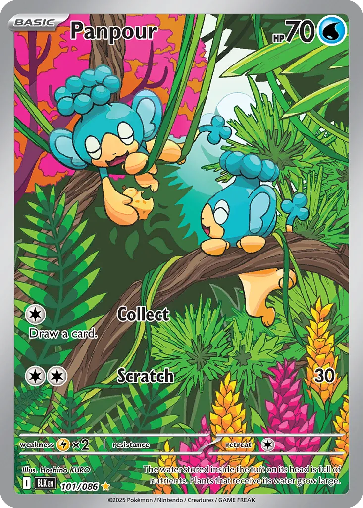 Panpour - 101/086 - Illustration Rare (Inglés Foil NM)