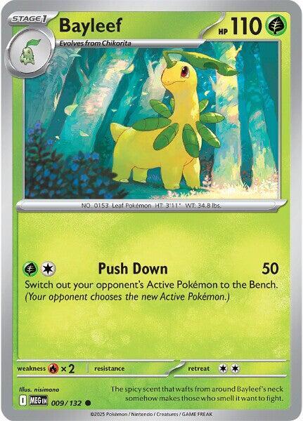 Bayleef - 009/132 - Common (Inglés Reverse Holo NM)