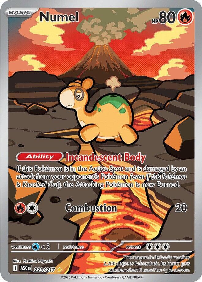Numel - 223/217 - Illustration Rare (Inglés Foil NM)