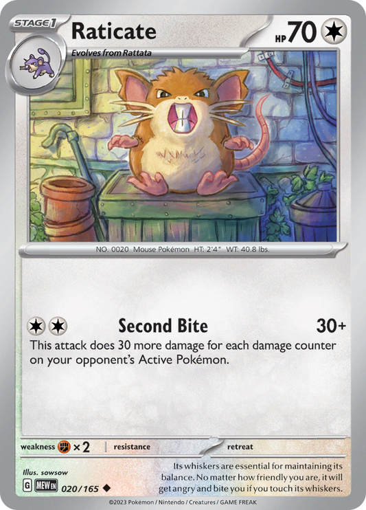 Raticate - 020/165 - Uncommon (Español)